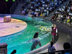 -波塞冬旅游度假区