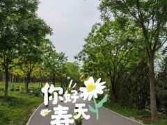 -东郊湿地公园