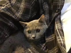 -飛凡TATTOO纹身•原创