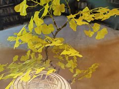 -米庄·原味私房菜(骏壹万邦店)