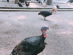 -南京金牛湖风景区