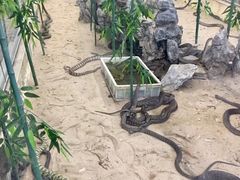 -荔城生鲜盛宴(番禺旗舰店)