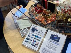 -Sony Store 索尼(来福士店)