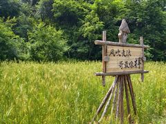 -沈阳植物园