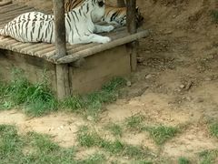 -石家庄市动物园