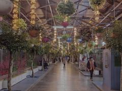 -南宫五洲植物乐园