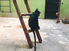 -石家庄市动物园