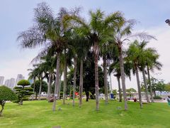 -石炮台公园