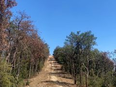 -青龙山国家森林公园