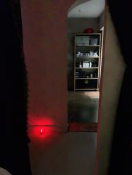 -金菩提·王妃天使背