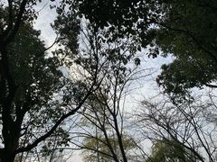 -南京市江宁方山