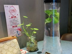 -野蔓果·山野菜(西湖景区·龙井茶田店)