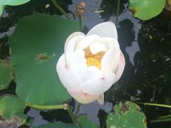 -郭守敬纪念馆