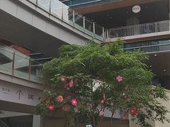 -西安万象天地