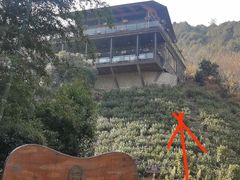 -莫干山郡安里度假酒店-桃尖中餐厅