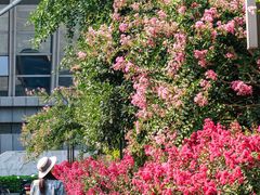 -杭州城北体育公园