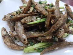 -品雅轩农家乐