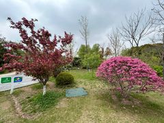 -昆山城市生态森林公园