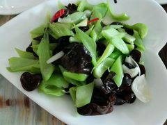 -椿记烧鹅(叠彩店)