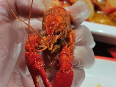 -阿青龙虾(新城店)