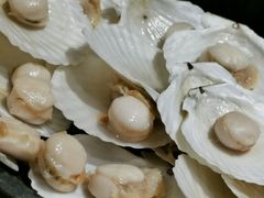 -西藏饭店·亚克·食光自助餐厅(文殊院店)