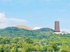 -牛首山文化旅游区