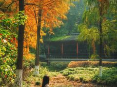 -重庆彩云湖湿地公园