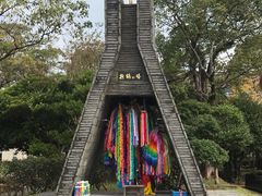 -歌诗达邮轮(宝杨路码头)