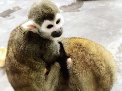 -西安秦岭野生动物园