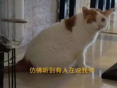 -平行世界·猫咖(首经贸店)