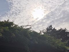 -名古屋城