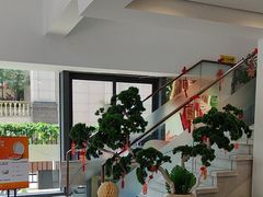 -维乐口腔医院(星海湾分院)