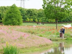 -花开海上生态园