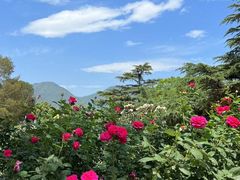 -国家植物园南园