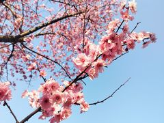 -白塘生态植物园