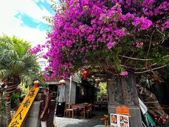 -海韵人家.海景花园经典云南菜(双廊店)