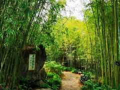 -深圳仙湖植物园