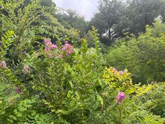 -天津盘山风景名胜区