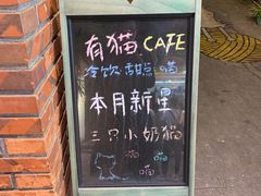 -有猫主题·治愈系猫咖(曾厝垵店)