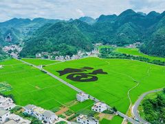 -万峰林风景区