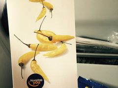 iphone_upload_pic-德国汉莎航空公司