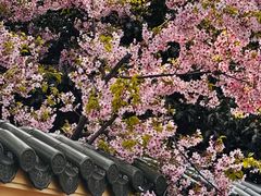 -天府面庄(天平路店)