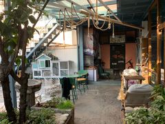 -喵屿·大理花园猫咖