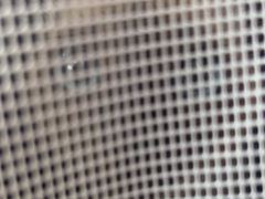 -pd派德宠物中心医院24H急重症·眼科中心·血液透析中心(嵩山北路店)