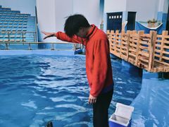 -石林冰雪海洋世界