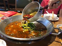 -红牌美蛙鱼头火锅(万辉国际广场店)