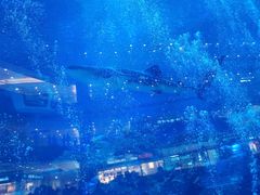 -成都浩海立方海洋公园