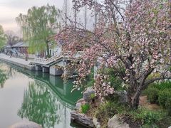 -济南大明湖景区
