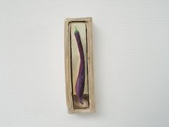 -知美术馆