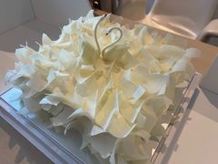 -BLACKSWAN黑天鹅(环球店)